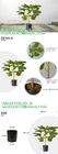Real Touch 120cm Artificial Tree Bonsai Plant Fig Tree Ficus Carica Decorative Tree Artificial Plant Home Decor