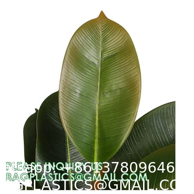 80cm Nearly Natural Looking Oak Tree Faux Plants Ornamental Indoor Tree Fashional Faux Oak Tree Plants Real Touch