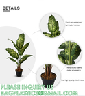 Artificial Green Dieffenbachia Plant 2 Pack - Faux Indoor Plant Spray - EverGreen Greenery For Home Or Office Decor