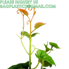 Artificial Greenery Chain Grapes Vines Leaves Foliage Simulation Fruits for Home Room Garden Wedding Garland Outside