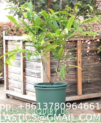 29cm Potato Planting Pot Nursery Pot For Ginger Peanut Potato Custom 5 7 10 Gallon With Window Open