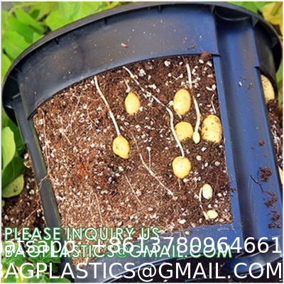 29cm Potato Planting Pot Nursery Pot For Ginger Peanut Potato Custom 5 7 10 Gallon With Window Open