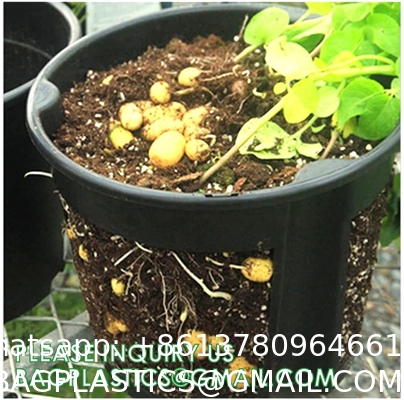 29cm Potato Planting Pot Nursery Pot For Ginger Peanut Potato Custom 5 7 10 Gallon With Window Open