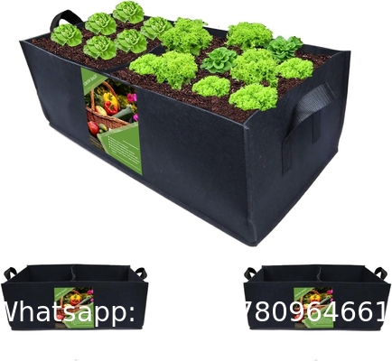 Fabric Raised Garden Bed 6x3x1ft Garden Grow Bed Bags for Growing Herbs, Flowers and Vegetables 128 Gallon