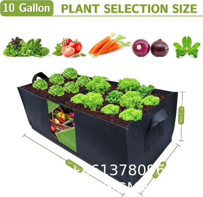 Fabric Raised Garden Bed 6x3x1ft Garden Grow Bed Bags for Growing Herbs, Flowers and Vegetables 128 Gallon