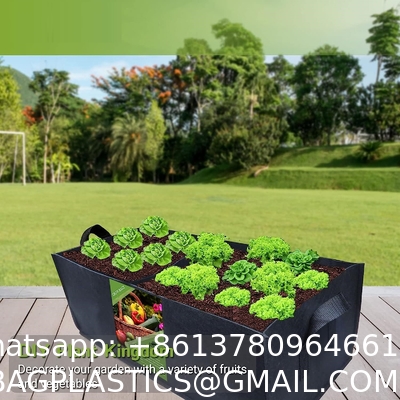 Fabric Raised Garden Bed 6x3x1ft Garden Grow Bed Bags for Growing Herbs, Flowers and Vegetables 128 Gallon