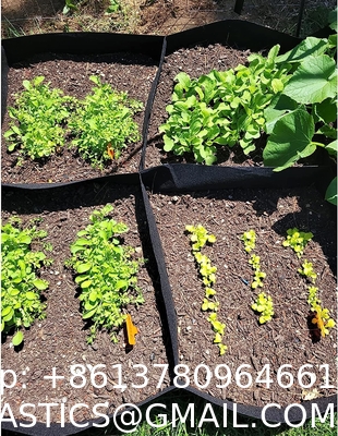 Fabric Raised Garden Bed 6x3x1ft Garden Grow Bed Bags for Growing Herbs, Flowers and Vegetables 128 Gallon
