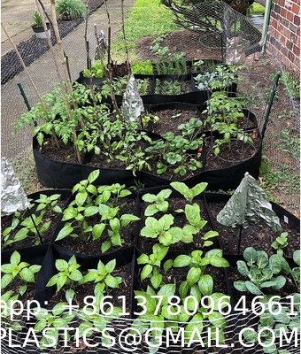 Fabric Raised Garden Bed 6x3x1ft Garden Grow Bed Bags for Growing Herbs, Flowers and Vegetables 128 Gallon