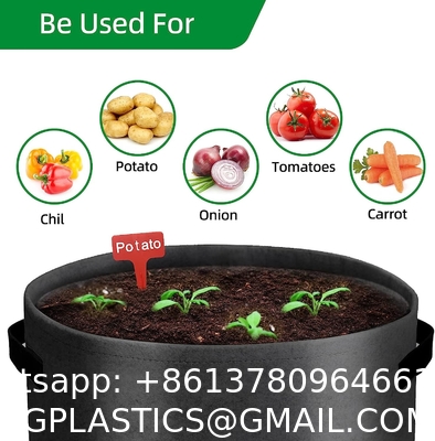 10 Gallon Potato Grow Bags, Planter Pouch Bags for Vegetables, Fruits and Flowers Flap Window, Garden Planting Bag