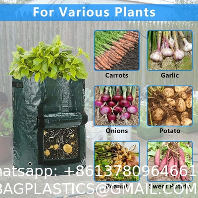 10 Gallon Potato Grow Bags, Planter Pouch Bags for Vegetables, Fruits and Flowers Flap Window, Garden Planting Bag