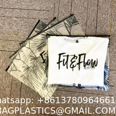 Custom Printed Logo Frosted Plastic Bag Clothes Zip Lock Self Sealing Bag Clothing Packaging Frosted Zipper Bags