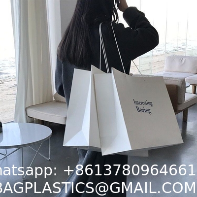 Luxury Fashion Low Cost High Quality Packaging Bag Laminated Eco Friendly Shopping Paper Bag With Your Own Logo Print