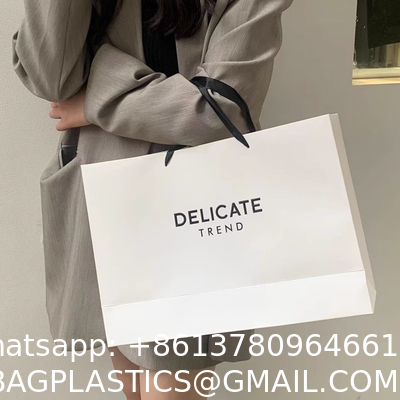 Luxury Fashion Low Cost High Quality Packaging Bag Laminated Eco Friendly Shopping Paper Bag With Your Own Logo Print