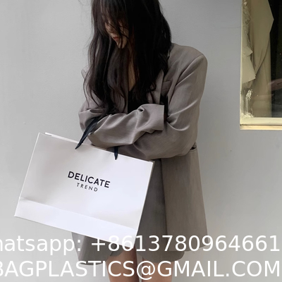 Luxury Fashion Low Cost High Quality Packaging Bag Laminated Eco Friendly Shopping Paper Bag With Your Own Logo Print