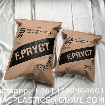 Zipper Clothes Packaging Frosted Plastic Ziplock Bag PE Zip Lock Packaging Bag With Your Logo For Apparel Packaging