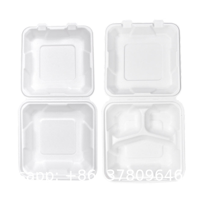 Takeout Takeaway Good Eco Sugarcane 800ml Lunch Box Clamshell Disposable Biodegradable Food Containers With Custom Logo