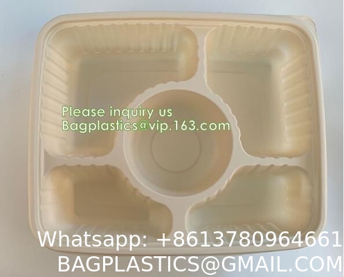 Takeout Takeaway Good Eco Sugarcane 800ml Lunch Box Clamshell Disposable Biodegradable Food Containers With Custom Logo