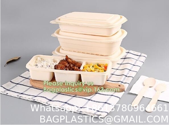 Takeout Takeaway Good Eco Sugarcane 800ml Lunch Box Clamshell Disposable Biodegradable Food Containers With Custom Logo