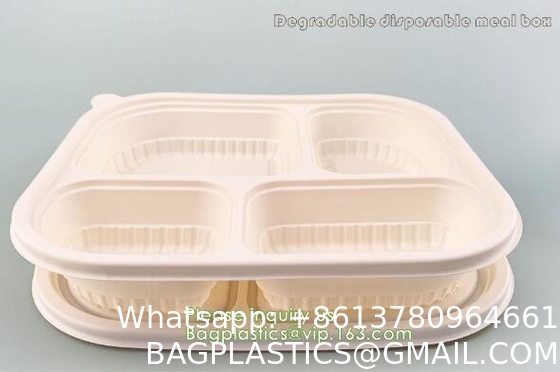 Takeout Takeaway Good Eco Sugarcane 800ml Lunch Box Clamshell Disposable Biodegradable Food Containers With Custom Logo