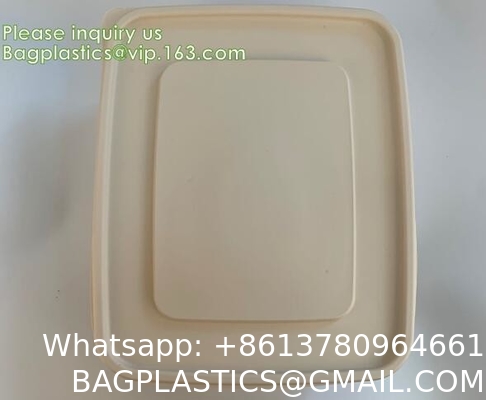 Takeout Takeaway Good Eco Sugarcane 800ml Lunch Box Clamshell Disposable Biodegradable Food Containers With Custom Logo