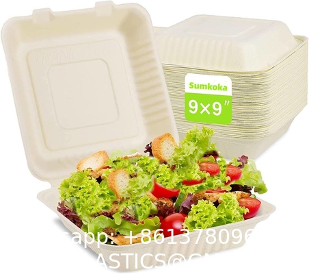 6-10 Inch 9x6 Biodegradable Disposable Fast Food Packaging Sugarcane Lunch Food Container Takeaway Box