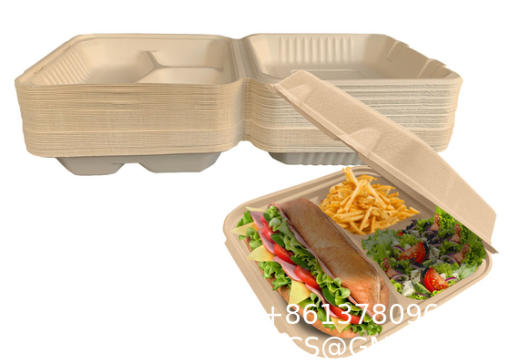 6-10 Inch 9x6 Biodegradable Disposable Fast Food Packaging Sugarcane Lunch Food Container Takeaway Box