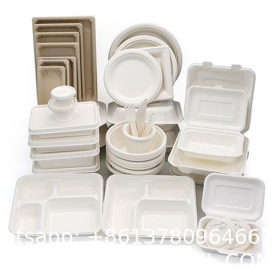 600ml Biodegradable & Compostable Sugarcane Take Away Bagasse Biodegradable Paper Take Out Food Container Disposable