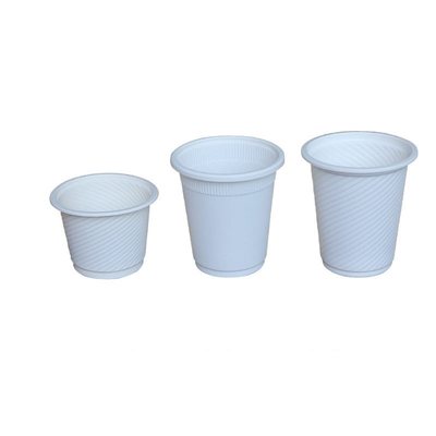 Biodegradables Disposable Biodegradable Bagasse Sugarcane Paper Plates And Cups Tableware Dinnerware Set