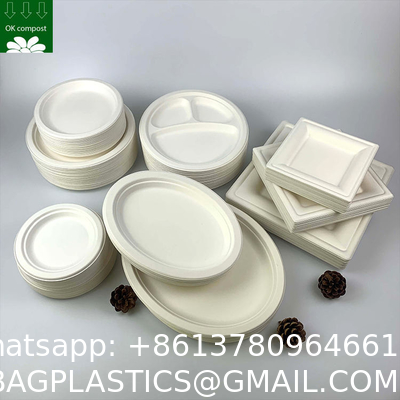 Custom Biodegradable Sugarcane Bagasse Pulp Fiber Fast Food Packing Paper Box Bio Degradable Takeaway To Go Container