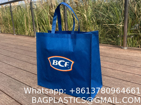 Hot Sale Personalized Logo Size Printed Eco Friendly Recyclable Reusable Grocery Portable REPT Bag Wholesale Cheap Reusable Eco pp Shopping Bag Non-woven Bag Oem Custom Gift Promotional Tote