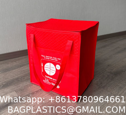 Insulate Bag Pack Take Out Custom Logo Large Freezer Heavy Duty Insulated Restaurant Heated Food Delivery Bag Extra Large