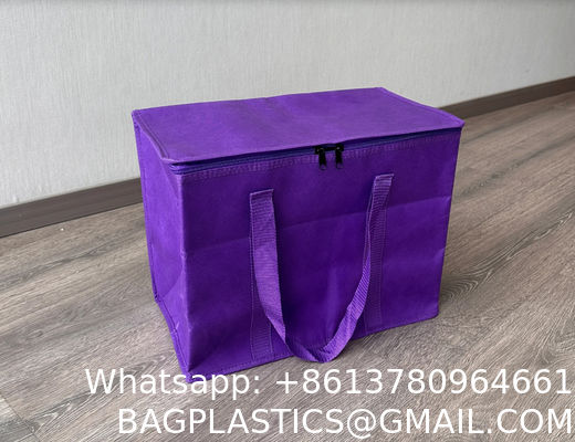Insulate Bag Pack Take Out Custom Logo Large Freezer Heavy Duty Insulated Restaurant Heated Food Delivery Bag Extra Large