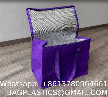 Insulate Bag Pack Take Out Custom Logo Large Freezer Heavy Duty Insulated Restaurant Heated Food Delivery Bag Extra Large