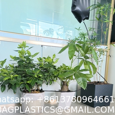 Extra Large 6500ML Drip Irrigation Bag Adjustable Flow, Self Automatic Watering System For Outdoor Gardening Plants And Flowers