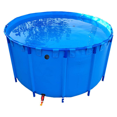 Custom Logo 10 Ft X 30 Inch PVC Family Above Ground Pool Round Metal Frame Swimming Pool Large Summer Backyard