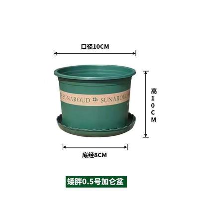 Nursery Pot Plant Grow Sturdy Flower pots in Bulk Price Gallon Durable Nursery Pot Garden Flower Pots Nursery Plant Container Kit With Matching Pallets