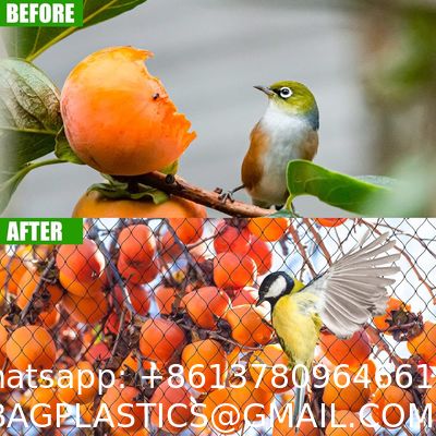 Chicken Coop Predator Proof Apron,Chicken Wire Bottom Predators Resistant,Fence Netting Barrier For Chicken Coop