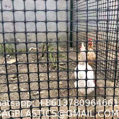 PP wire mesh Thickens 1.5-2.3mm Black Plastic Fence Rolling 2cm 3cm Hole Breeding Nets Protection Of Vegetable Fruit Plant PVC Fence