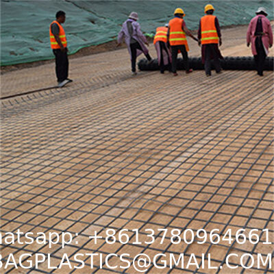 PP wire mesh Thickens 1.5-2.3mm Black Plastic Fence Rolling 2cm 3cm Hole Breeding Nets Protection Of Vegetable Fruit Plant PVC Fence