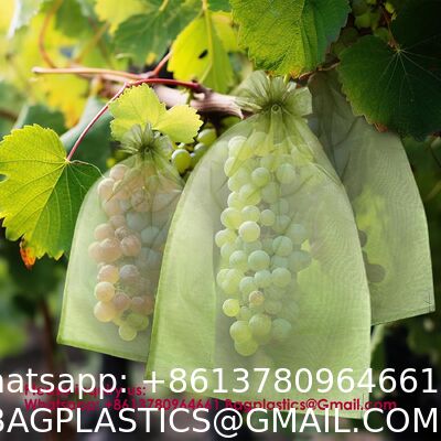 Fruit Protection Bags, Fruit Bags For Fruit Trees, Green Netting Fruit Cover Bags Drawstring Mesh Fruit Protectors Pest Barrier For Fruit Trees Veggies Garden