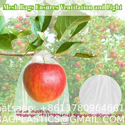 Garden Fruit Protection with Drawstring Reusable Netting Mesh Bags Fruit Netting Bags Fruit Trees Fruit Cover Mesh Bag With Drawstring, Netting Barrier Bags Grapes Mango Fruit Trees Veggies Garden