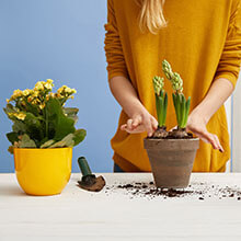 BPA Free Bottles with Black Adjustable Spray Nozzle Plant Mister with Misting Stream for House