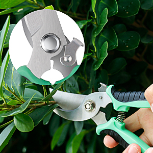Pruning Shears