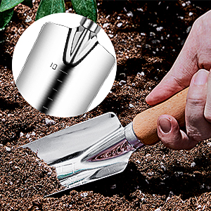 Measuring Transplanter