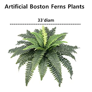 2 PACKS FERNS SIZE