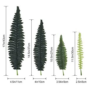 SIZE 3 FOR FAKE FERNS