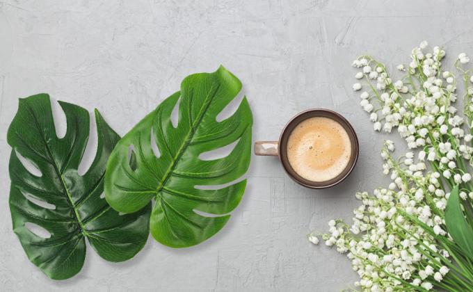 fake plants artificial plants faux plants indoor plants artificial decor plant decor tall fake plant