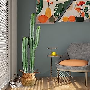Artificial Cactus