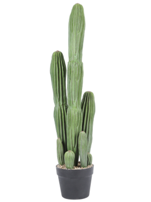 Artificial Cactus