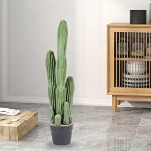 Artificial Cactus